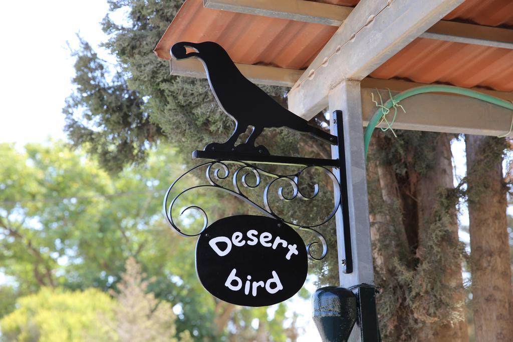 Desert Bird Guest House Αράντ Εξωτερικό φωτογραφία